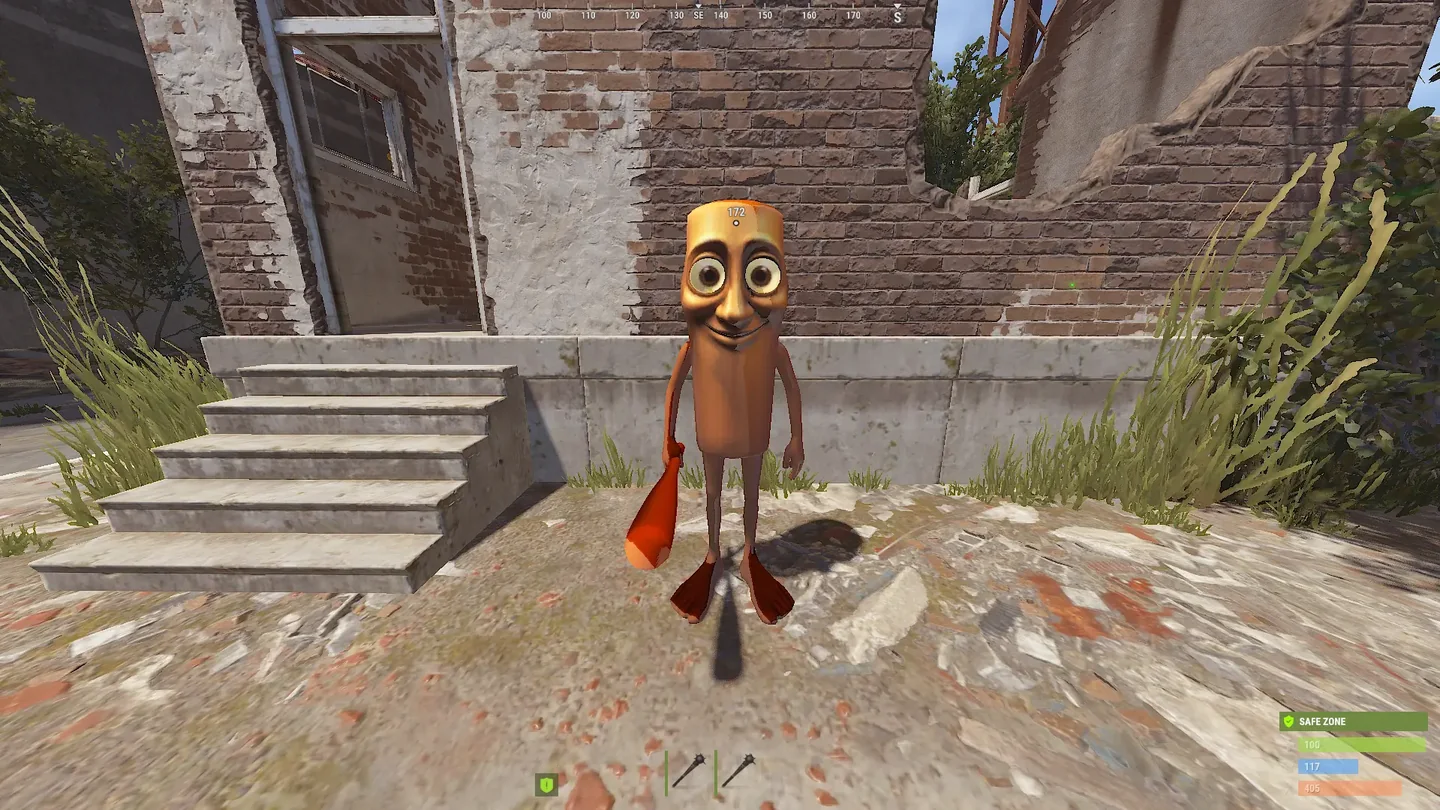 What the player sees